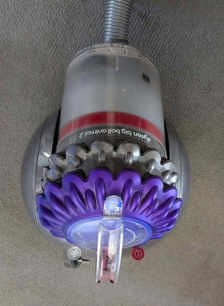 Photo of free dyson big ball animal vacuum cleaner (Tring Wharf HP23) #1