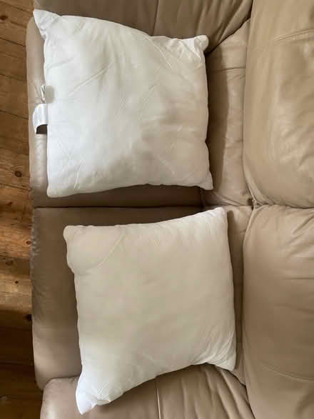 Photo of free Three cushion insides 50x50 cm (Chiswick W4) #2