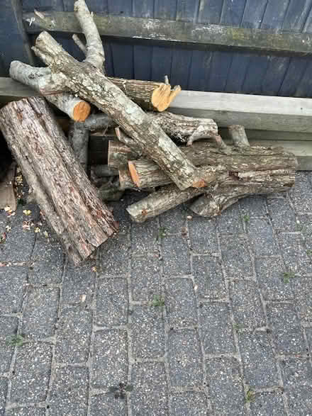 Photo of free Wood from a Hawthorn trunk (Hove) #1