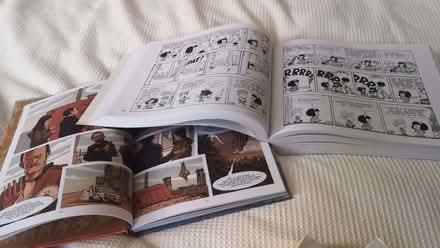 Photo of free Spanish cartoon book and graphic novel (Craiglockhart EH14) #2