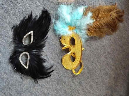 Photo of free masks/role play/decorative (East Chichester) #1