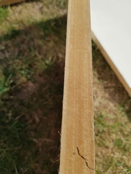 Photo of free 4 Large Thick Wood Panels (North Abingdon, OX14) #3