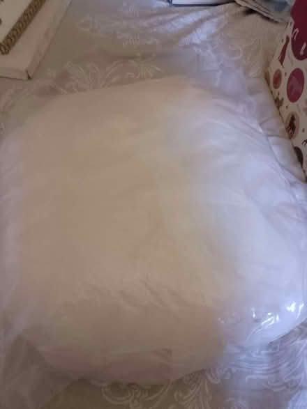 Photo of free Cushion pad (Mousehold NR3) #1