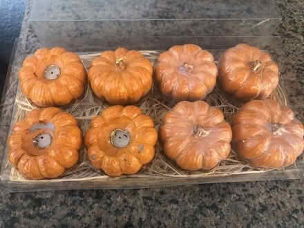 Photo of free small pumpkin candles (North Hollywood) #1