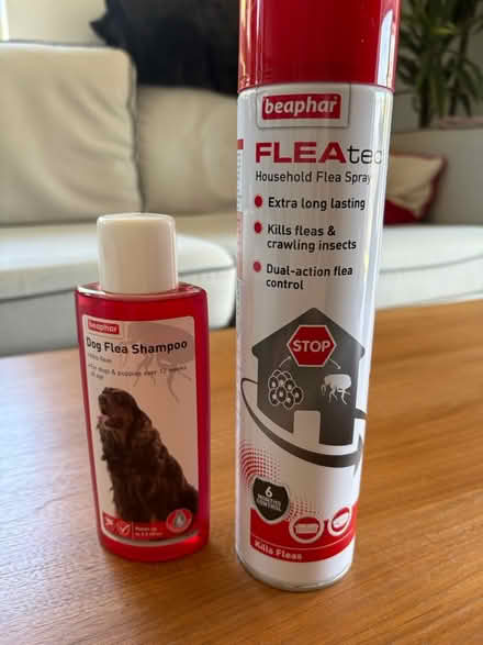 Photo of free Dog anti flee stuff (South Acton W3) #1