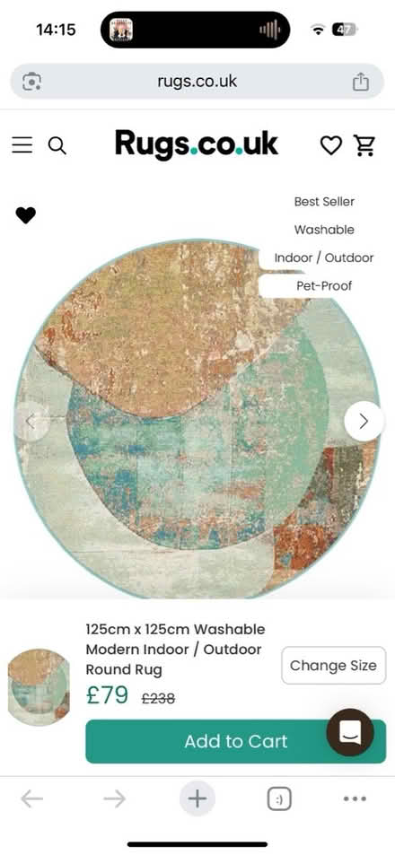 Photo of free Round rug (N16) #1