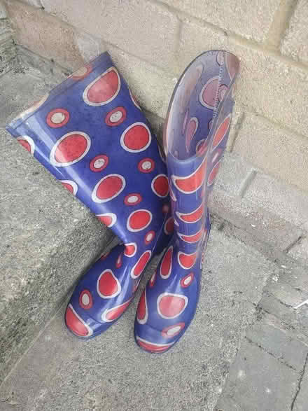 Photo of free Wellies adult size 8 (Kendal LA9) #2