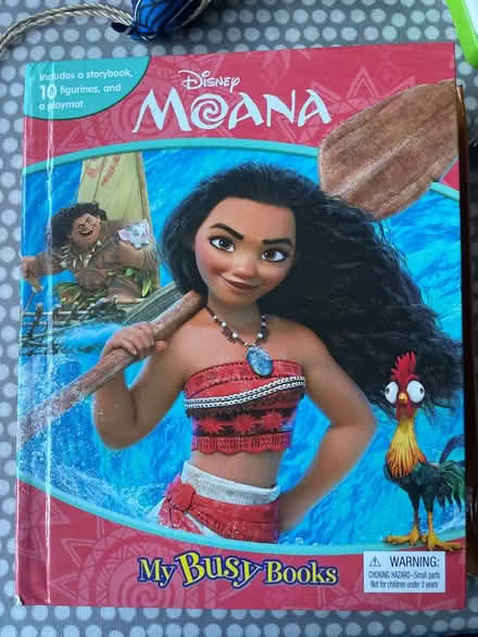Photo of free Moana book and figurines (Bournville B30) #1