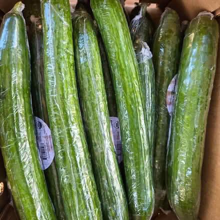 Photo of free Cucumbers NOW curbside (310 Chiquita Avenue MtnVw) #1