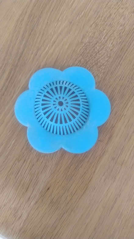 Photo of free hair catcher for a bath (Bathwick) #1