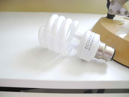 Photo of free Anglepoise Lamp (Misterton DN10) #4