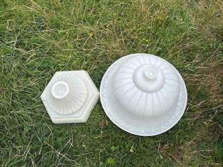 Photo of free Plastic plant pot (haslingfield) #3