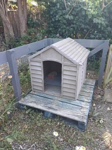 Photo of free Dog kennel (New York NE29) #1