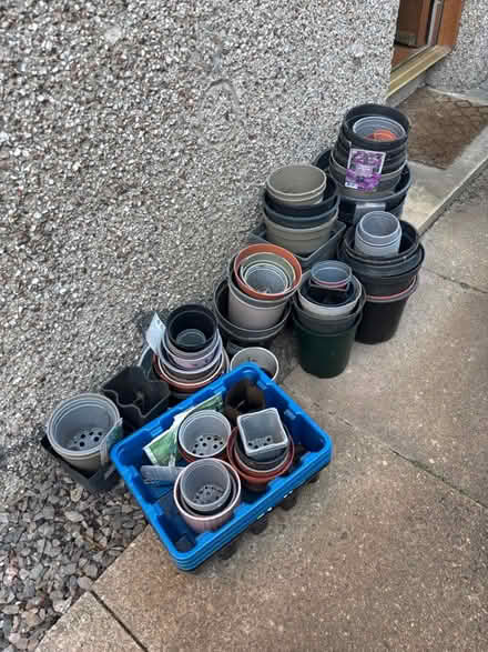 Photo of free Plastic plant pots (various sizes) (Elgin IV30) #1