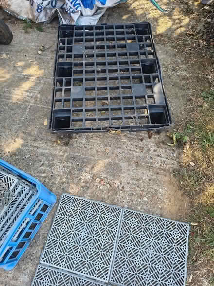 Photo of free Plastic pallet crate (Bexleyheath DA7) #1