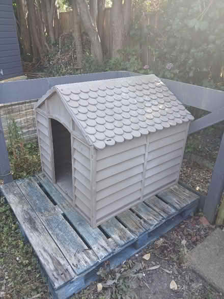 Photo of free Dog kennel (New York NE29) #2