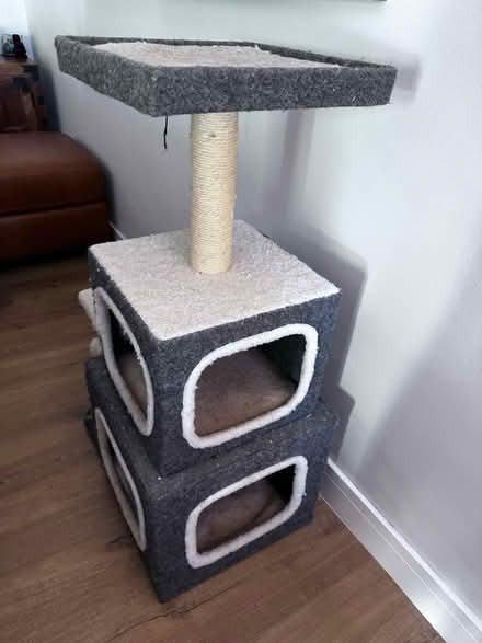 Photo of free Cat tower (Pinkneys Green, SL6) #1