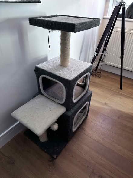 Photo of free Cat tower (Pinkneys Green, SL6) #3