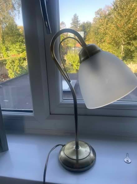 Photo of free Vintage swan neck lamp (Wigston Leicester LE18 4UL) #1