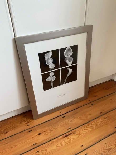 Photo of free Framed Picture (Lansdowne) #1