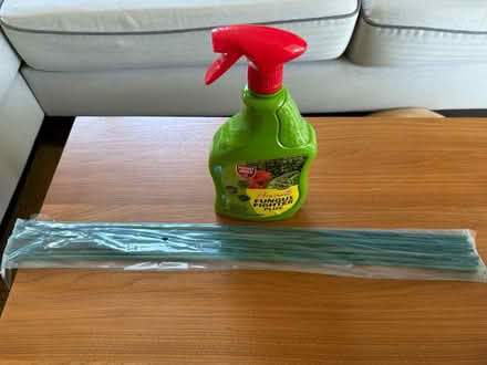 Photo of free Garden stuff (South Acton W3) #1