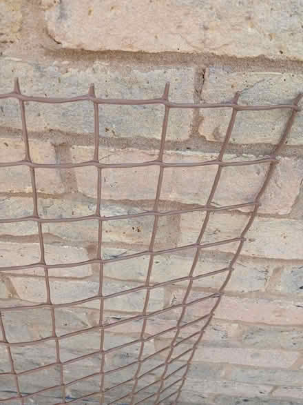 Photo of free Plastic Trellis (Goldington MK41) #2