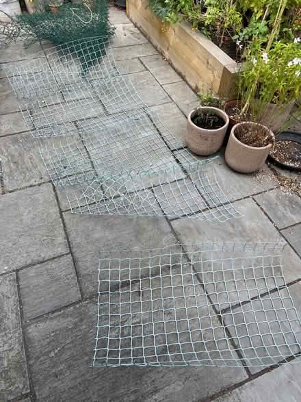 Photo of free Garden mesh (Latchford WA4) #1
