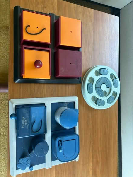 Photo of free Dog intelligence games (South Acton W3) #2