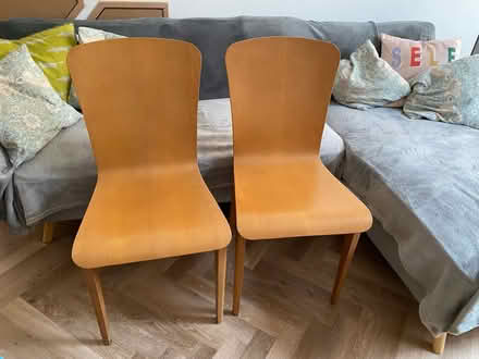 Photo of free Lovely dining Chairs (Epsom KT18) #1