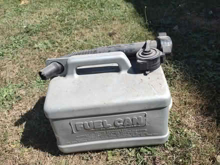 Photo of free Petra Csn (Hatfield, Herts AL10 0ED) #2