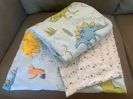 Photo of free Dinosaur single duvet cover and pillow case (Twerton) #1