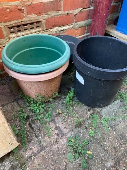 Photo of free Large garden pots / containers (Purbrook PO7) #2