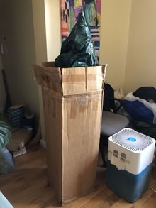 Photo of free 5-foot christmas tree with bark (Washington Heights) #2