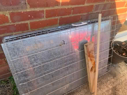 Photo of free Large dog cage (Chesham HP5) #1