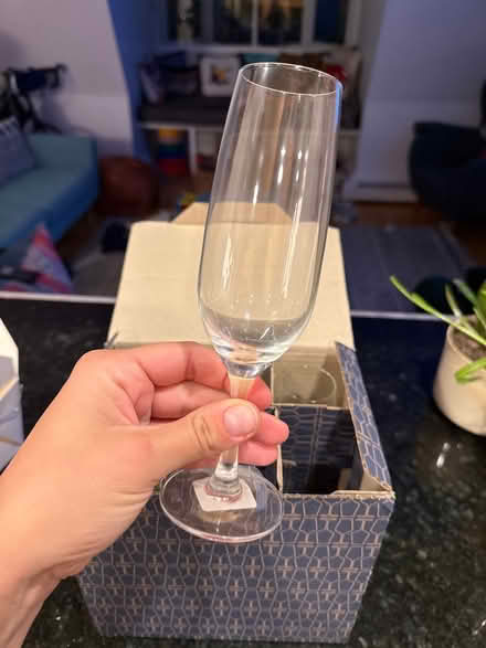 Photo of free 6 Champagne Glasses (South End) #1