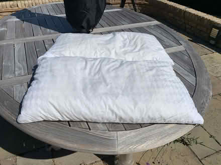Photo of free Extra Large Pillows + Pillowcases (Potters Bar EN6) #1