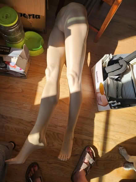 Photo of free Mannequin legs (Maple Leaf / Northgate) #1