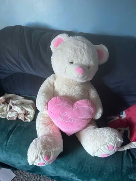 Photo of free Huge Teddy (Peachcroft OX14) #1