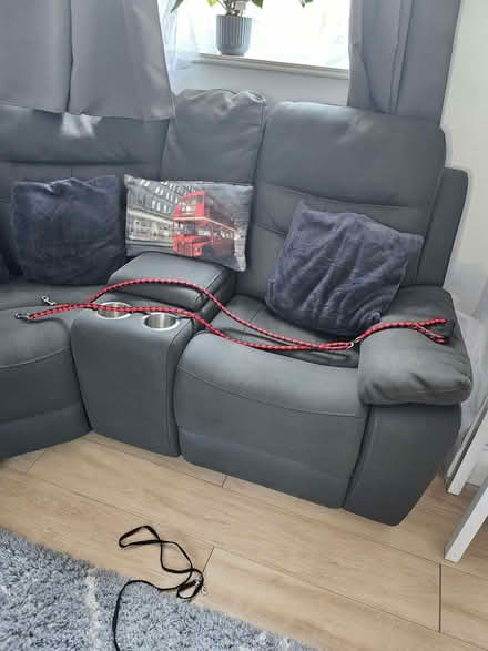 Photo of free Dog leads (Normanton DE23) #2