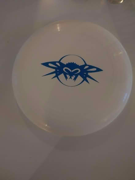 Photo of free 2 x Ultimate Frisbees (Cowley OX4) #2