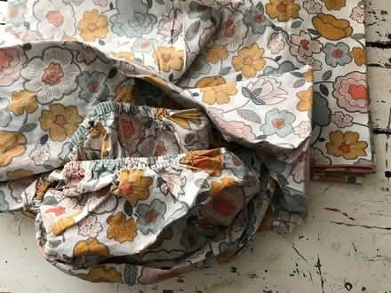 Photo of free Sheets (N16) #1