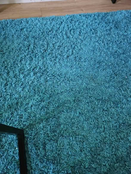 Photo of free Rug as pictured (South Norwood SE25) #1