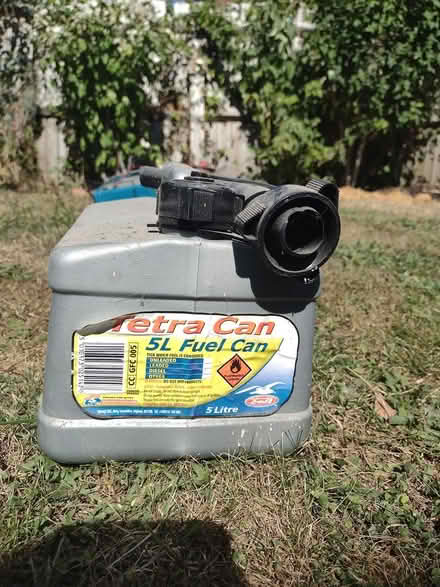 Photo of free Petra Csn (Hatfield, Herts AL10 0ED) #1