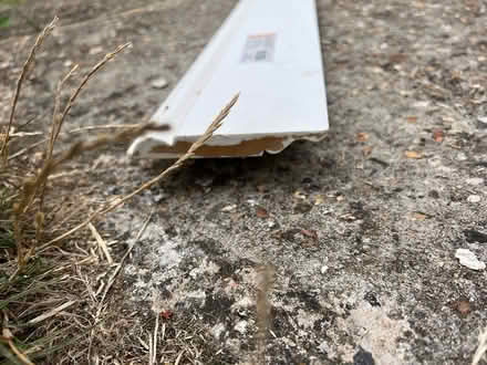 Photo of free Skirting (haslingfield) #2