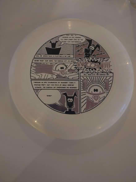 Photo of free 2 x Ultimate Frisbees (Cowley OX4) #3