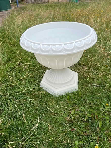 Photo of free Plastic plant pot (haslingfield) #1