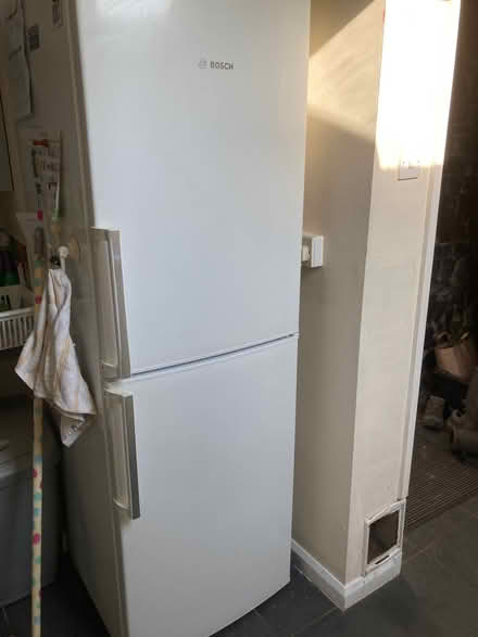Photo of free Bosch Fridge Freezer (Eastgate DL13) #1
