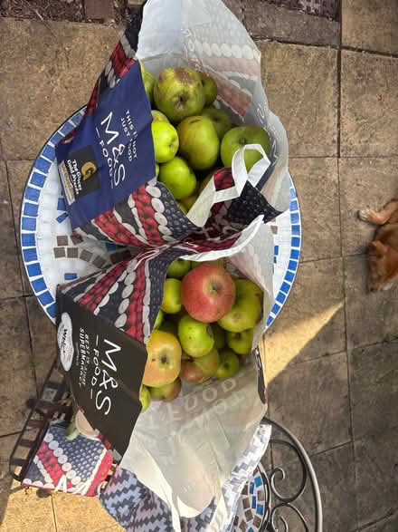 Photo of free 2 bags of apple (Win) #1