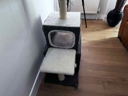 Photo of free Cat tower (Pinkneys Green, SL6) #2