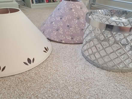 Photo of free Lampshades (Southdown) #2